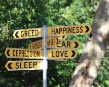 Street sign with multiple emotions names, such as Greed, Happiness, Fear, Love.