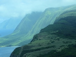 Not long ago, Hawaii faced losing it's native spoken tongue. Now, experts are focused on saving its signed one. photo credit: Cliffs on Molokai Northern Coastline James Brennan Hawaii (27) via photopin (license)