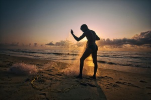 Man on beach in sunset gathers his large fishing net.